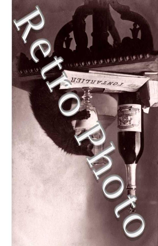 PERNOD une bouteille de Pernod et un chat