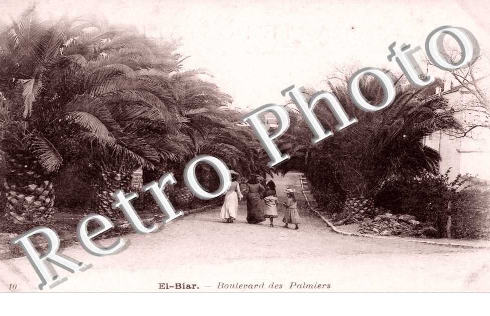 Boulevard des palmiers