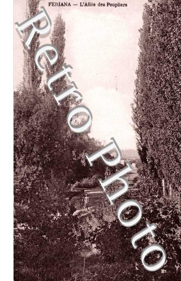 l'Allee des Peupliers