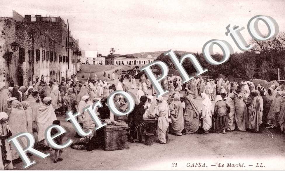 le Marche