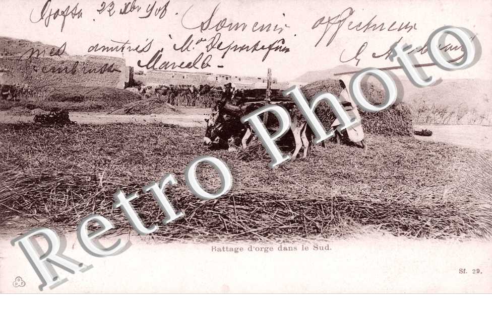 Battage d'orge dans le Sud