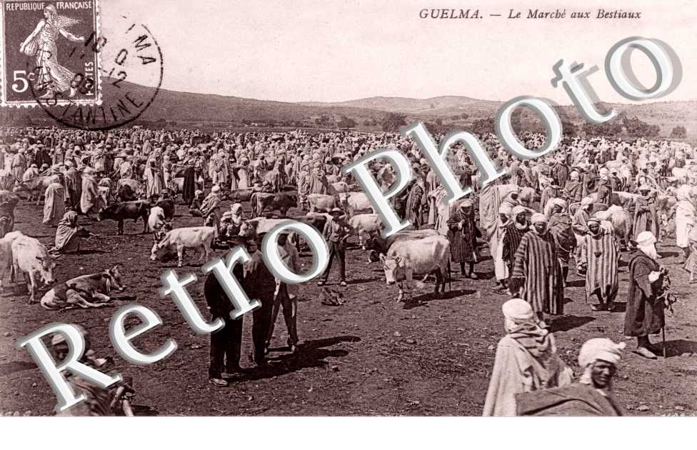 Le marche aux bestiaux