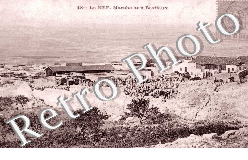 marche aux bestiaux