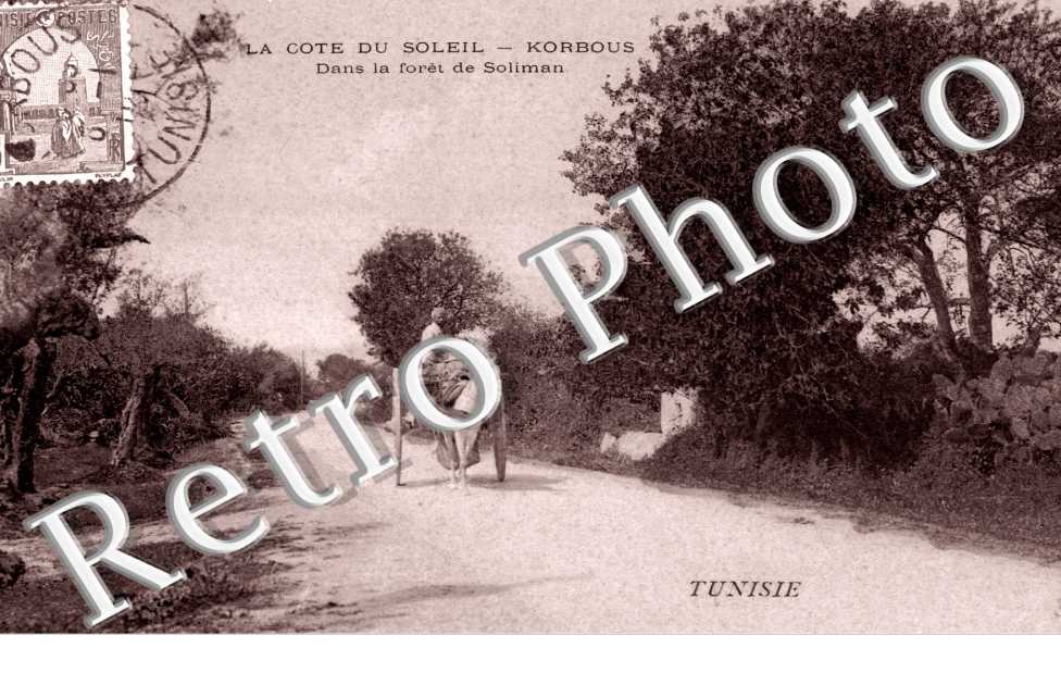 dans la foret de Soliman