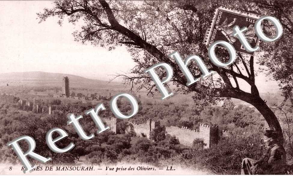 Ruines de l'Enceinte de Mansourah, Vue prise des Oliviers