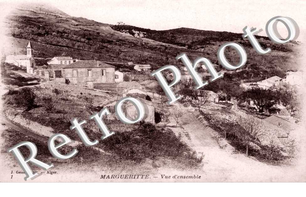 Vue d'Ensemble