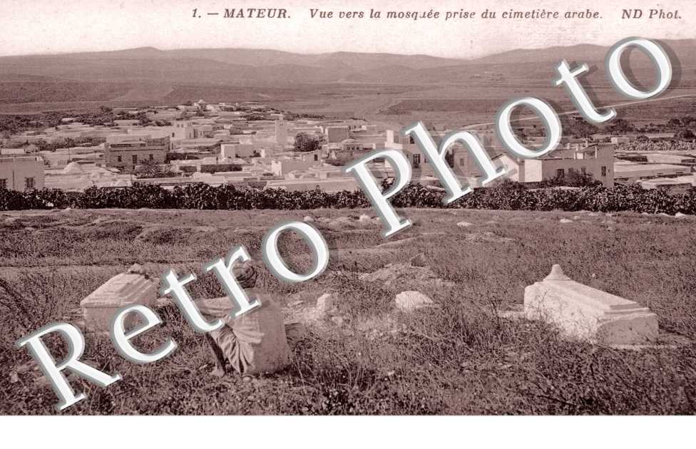 Vue vers la mosquee prise du cimetiere arabe