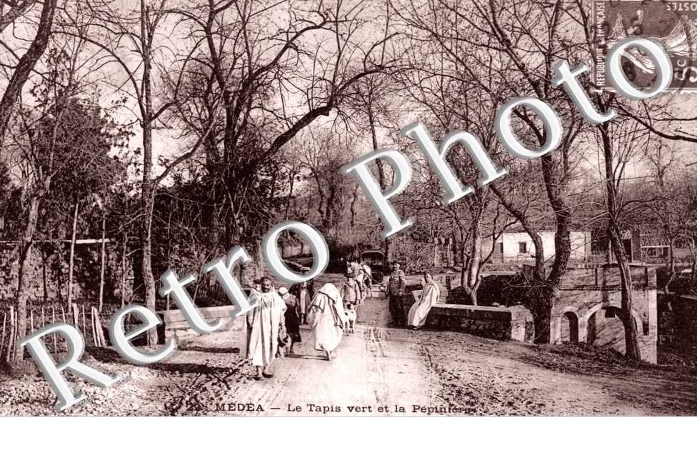 le Tapis Vert et la Pepiniere