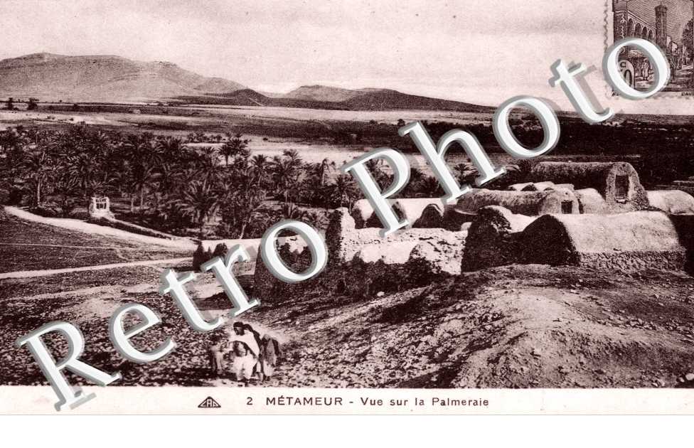 Vue sur la Palmeraie