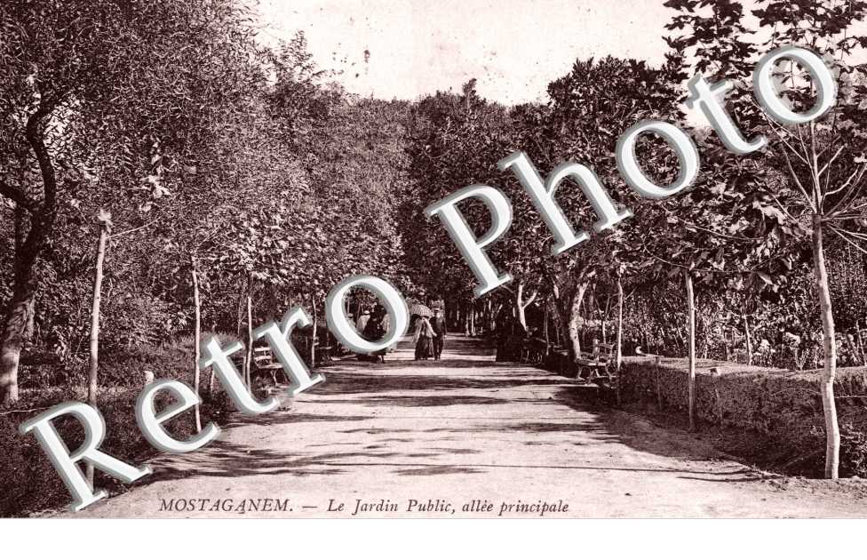 le jardin  Public, allee principale
