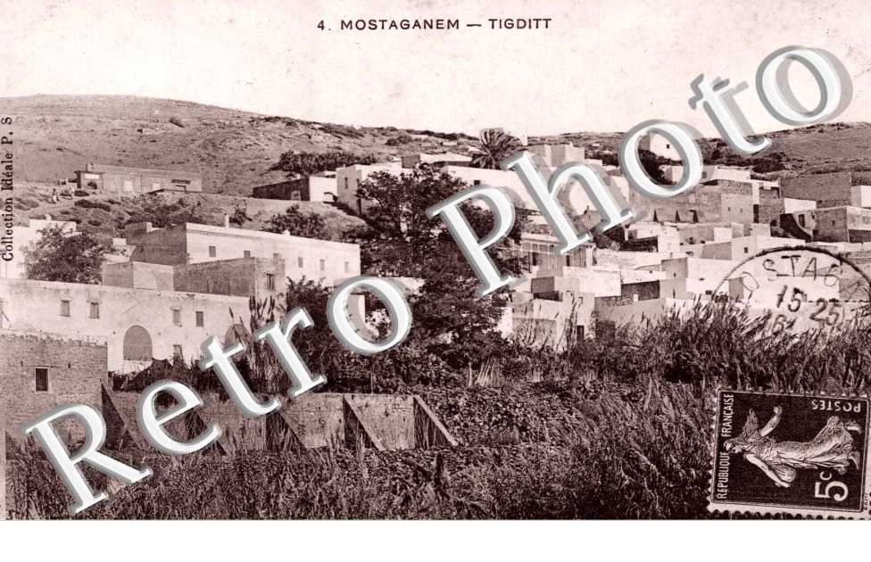 Tigditt