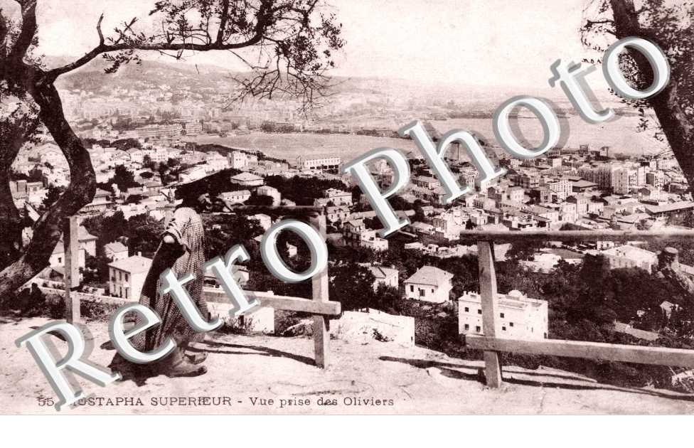 Vue prise des Oliviers