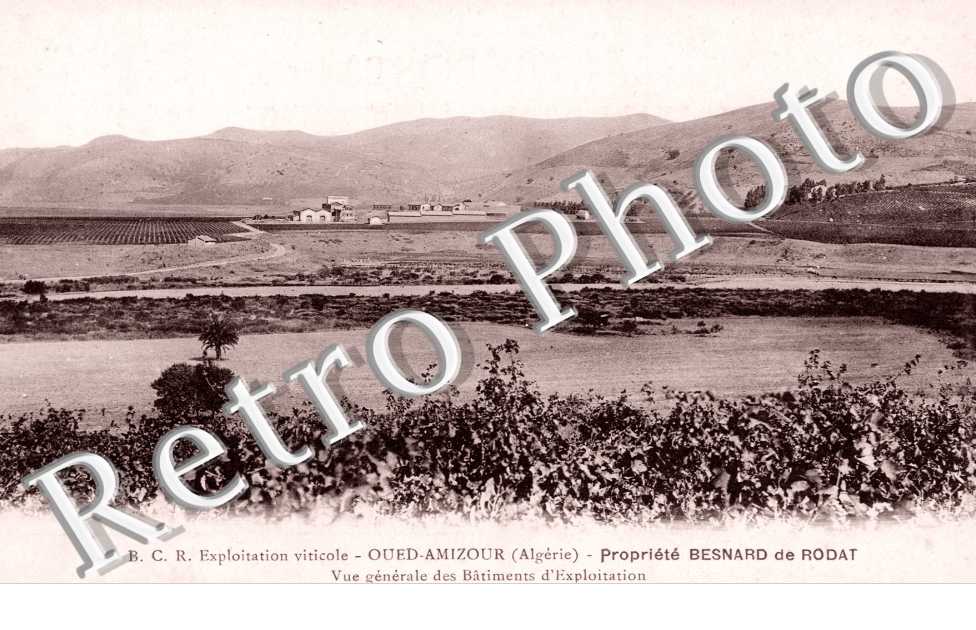 Propriete Besnard de Rodat - vue generale des batiments d'exploitation