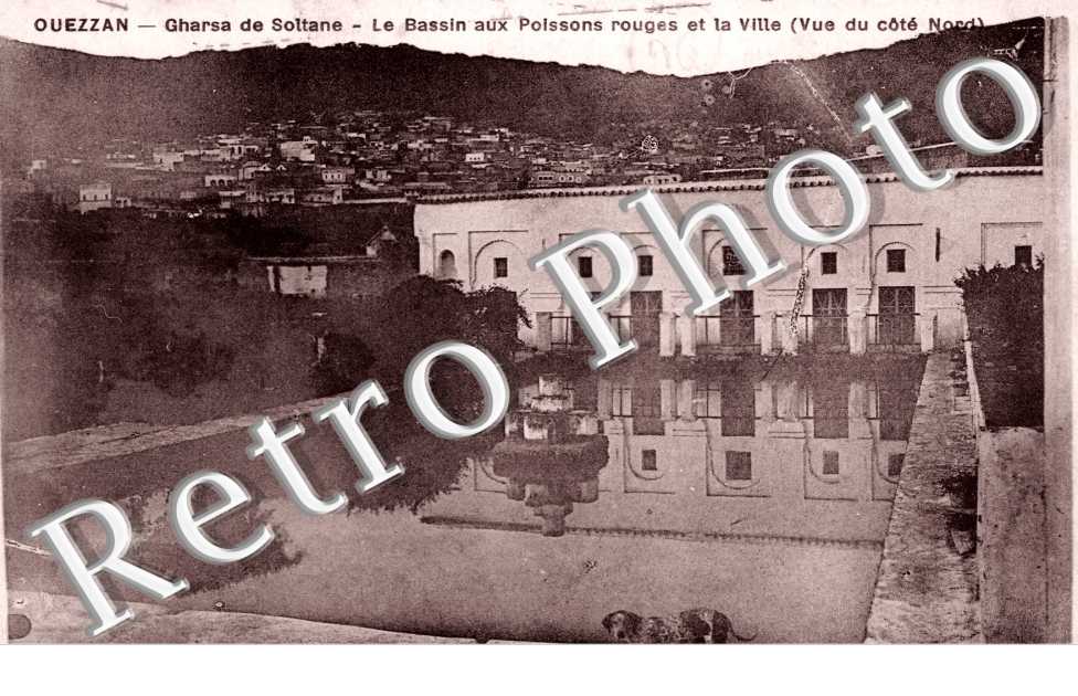 Gharsa de Soltane - bassin aux poissons rouges et la ville