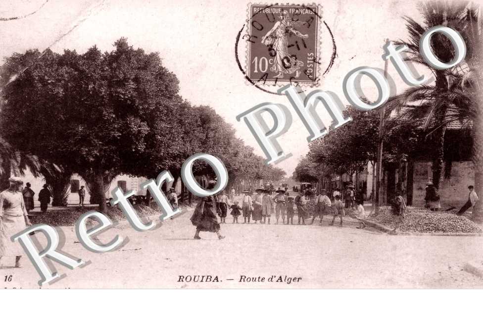 Route d'Alger