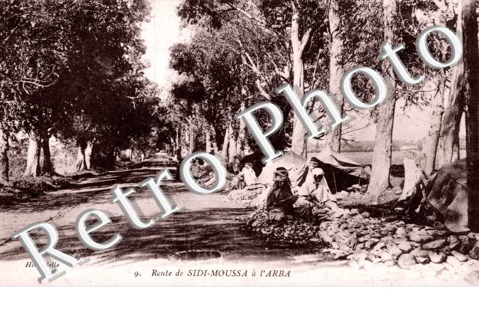 Route de Sidi-Moussa a l'Arba