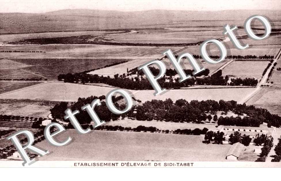 Etablissement d'Elevage de Sidi-Tabet, les Batiments et une partie du Domaine