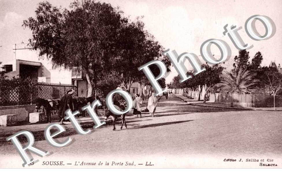 l'Avenue de la Porte Sud