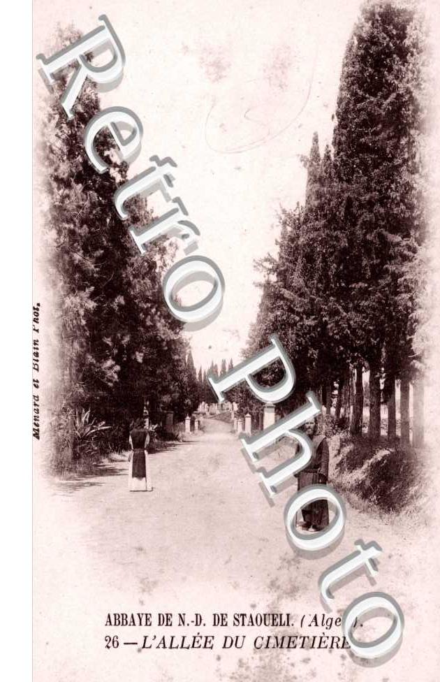 abbaye de Notre-Dame - allee du cimetiere