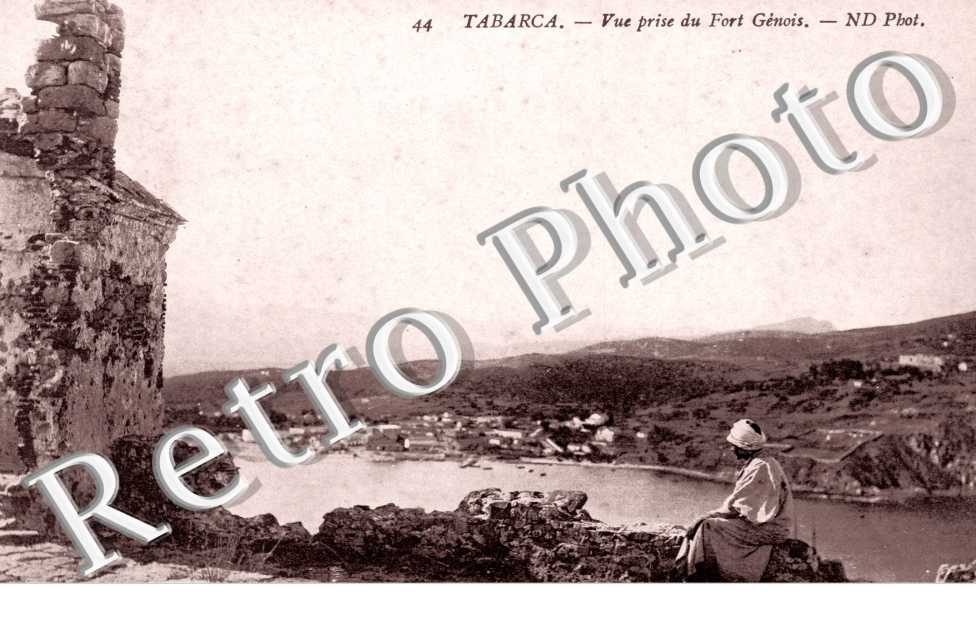 Vue prise du fort genois