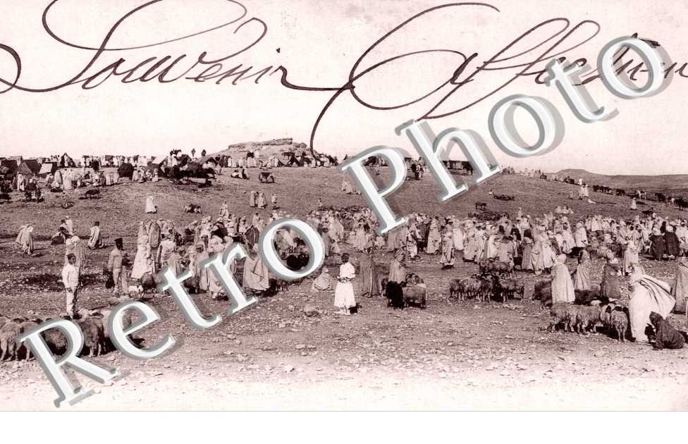 le Marche