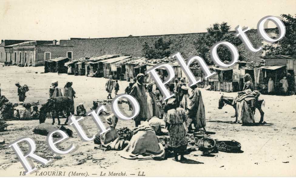 le Marche