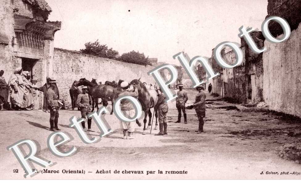 Achat de chevaux par la Remonte
