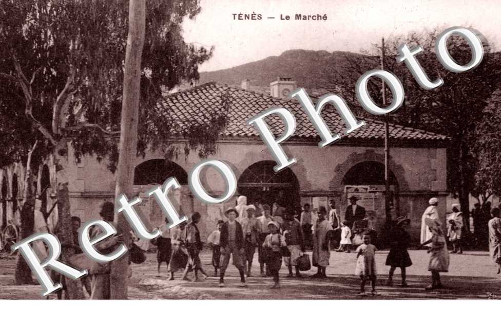 le Marche