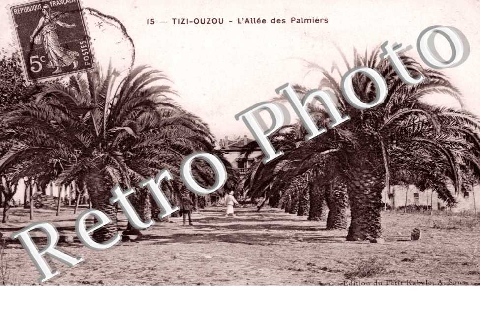 Allee des Palmiers
