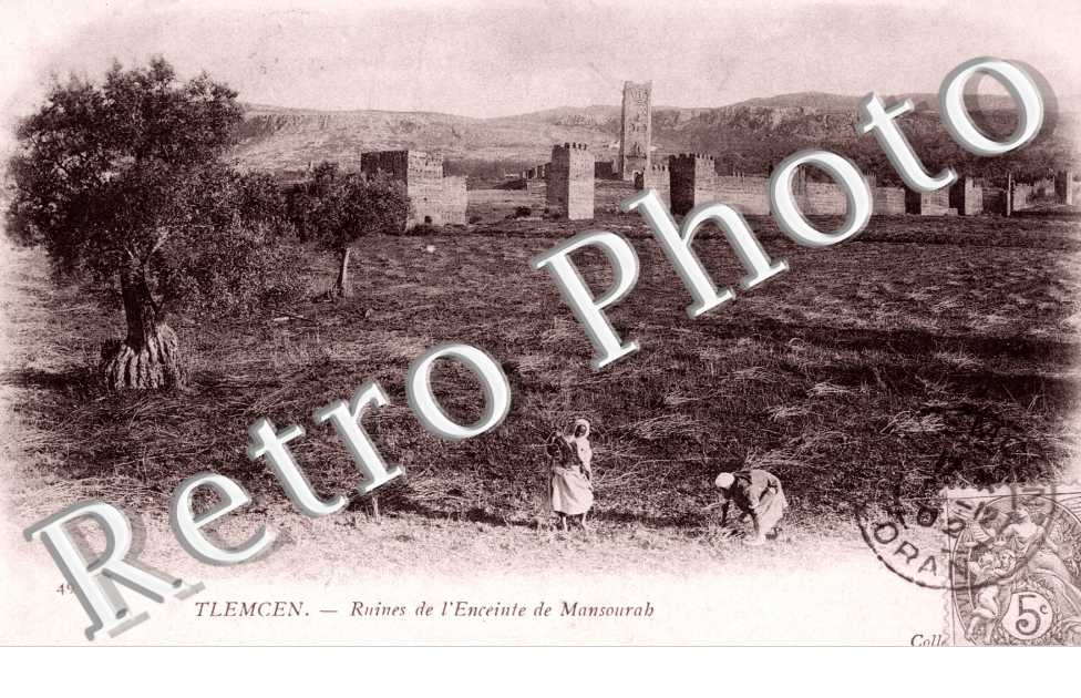 ruines de l'enceinte de Mansourah