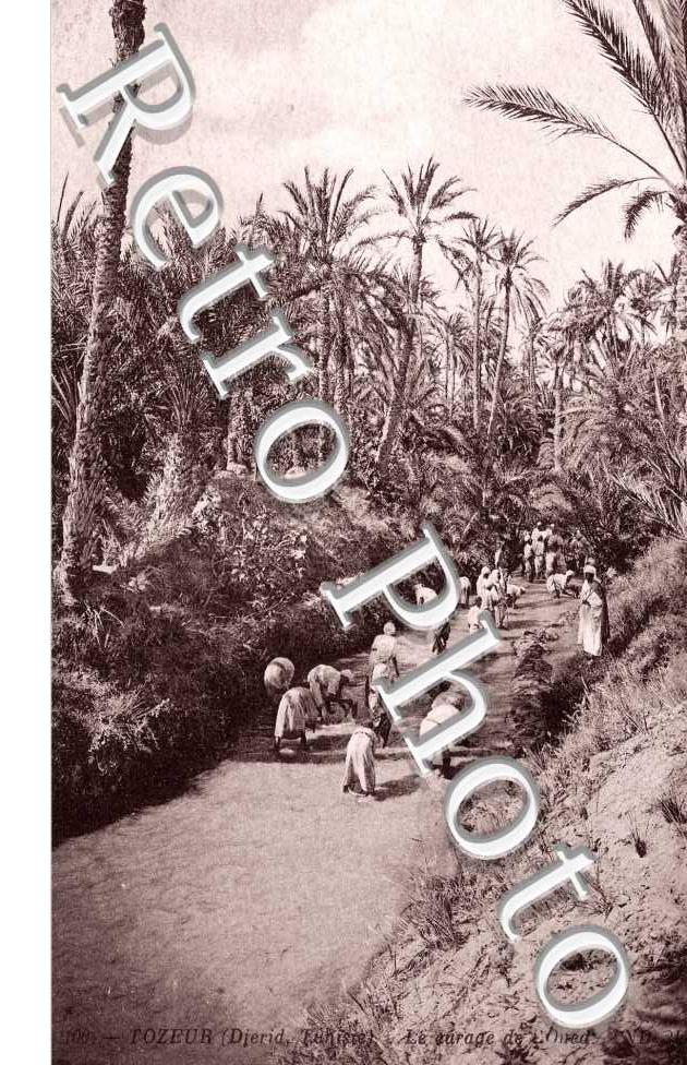 le Curage de l'Oued