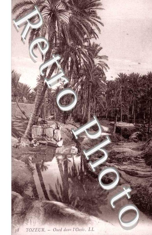 Oued dans l'Oasis