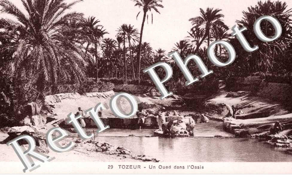 Un Oued dans l'Oasis