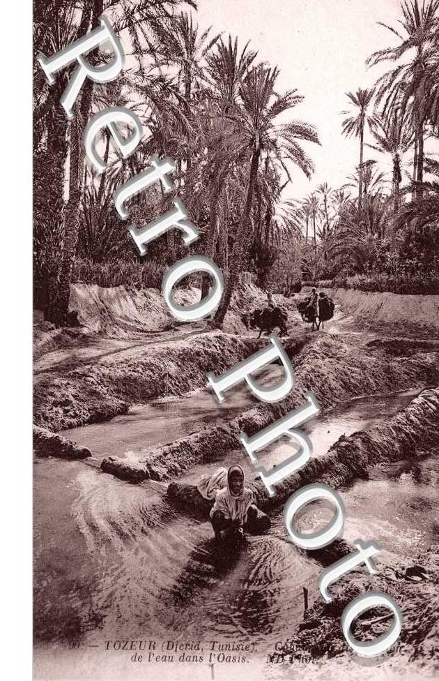 de l'Eau dans l'Oasis