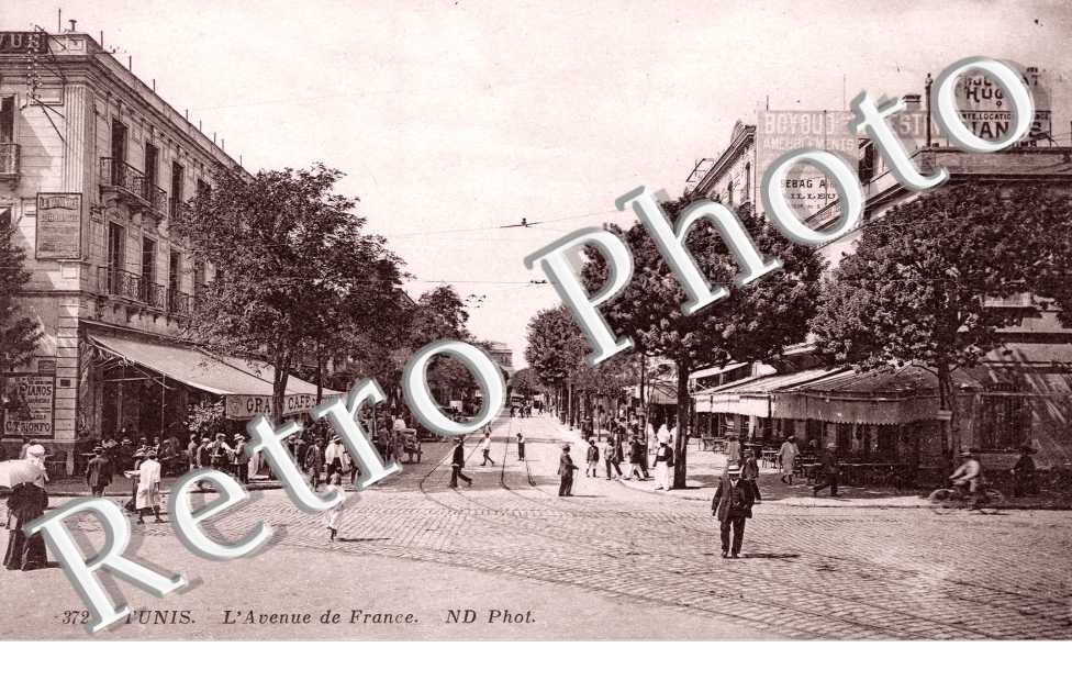 l'Avenue de France