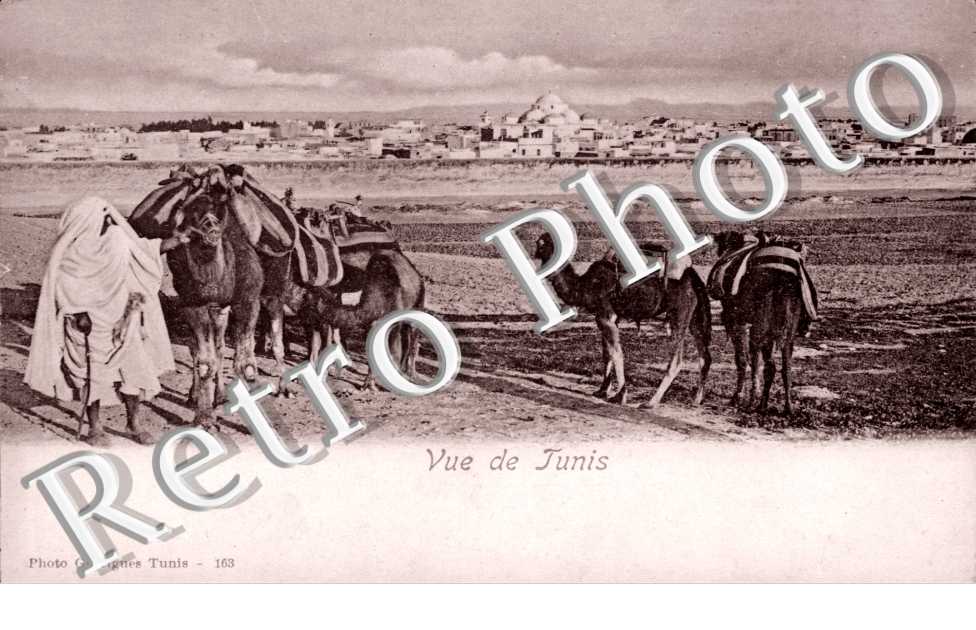 Vue de Tunis