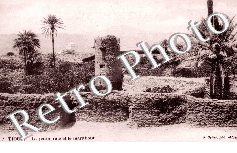 La palmeraie et le Marabout