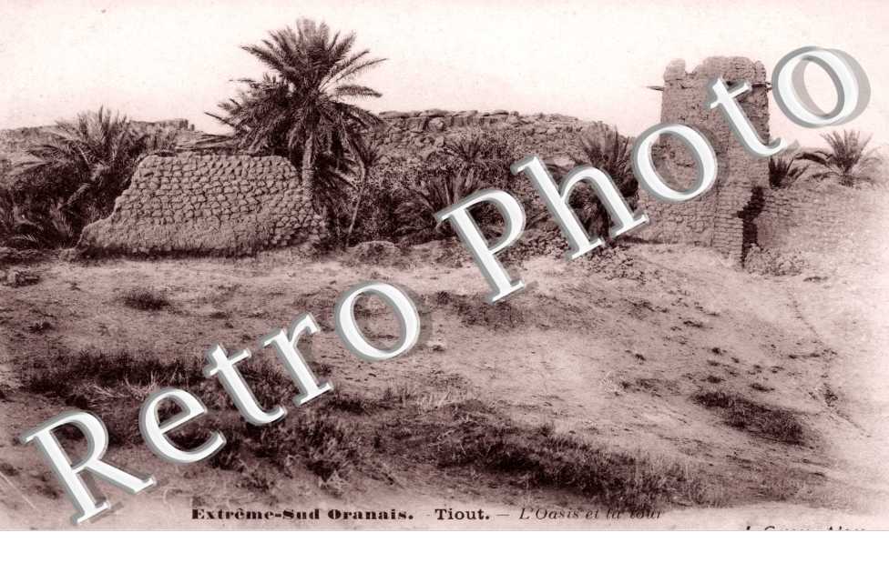oasis et la cour