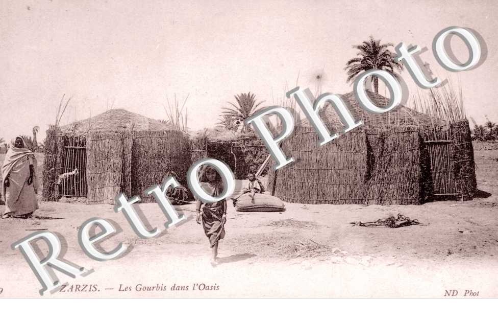 Gourbis dans l'Oasis