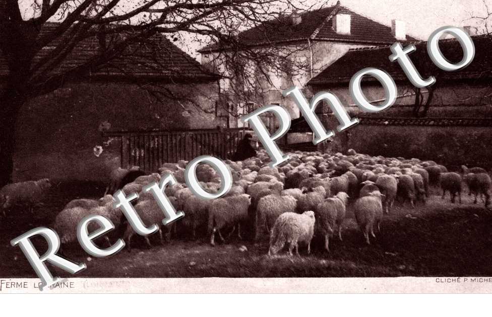 ferme lorraine
