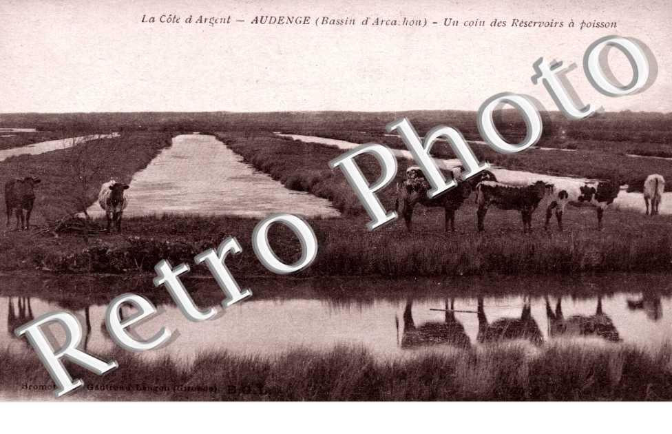 Un coin des reservoirs a poisson