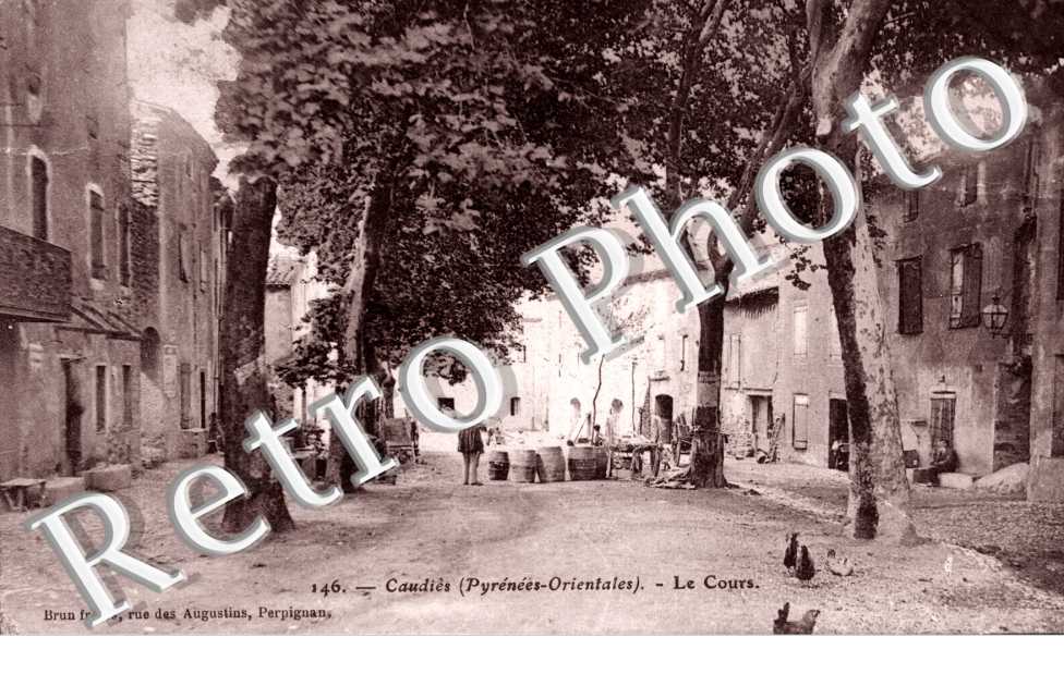 le cour