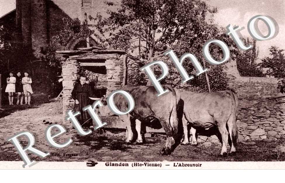 l'Abreuvoir