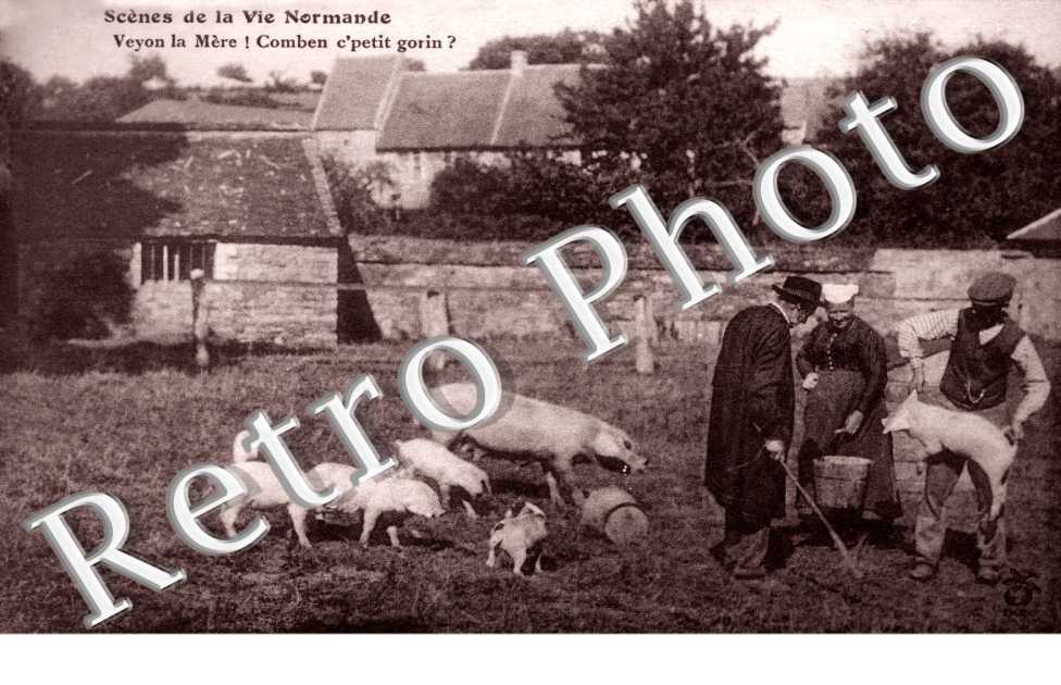 Veyon la mere ! Combien c'petit gorin ?