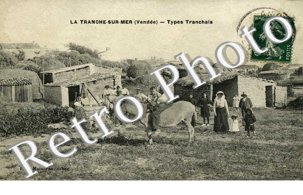 Types Tranchais