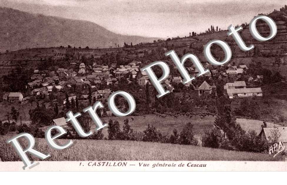 Castillon vue generale de Cescau