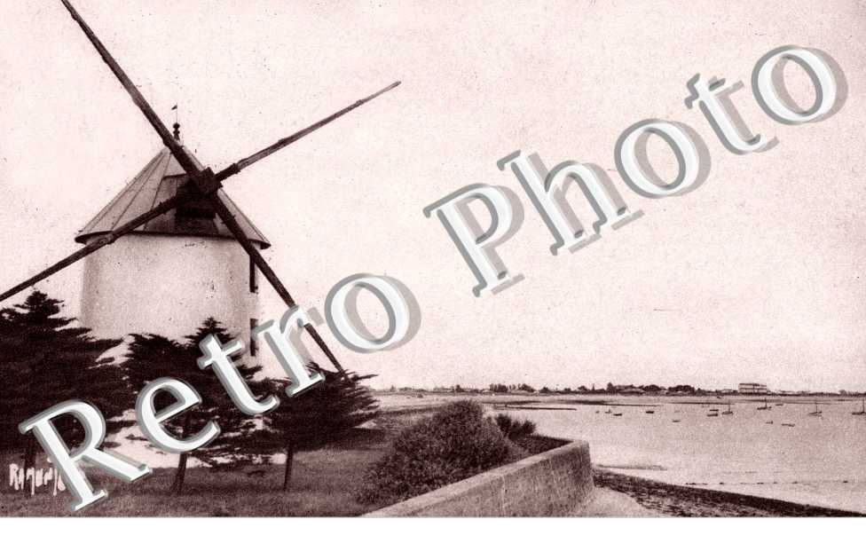 La Gueriniere - Moulin du Both - a l'horizon "Le Bon Secours"