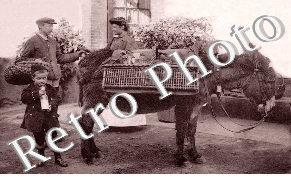 un laitier