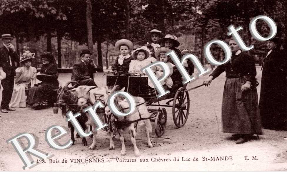 voitures aux chevres du lac de Saint-Mande