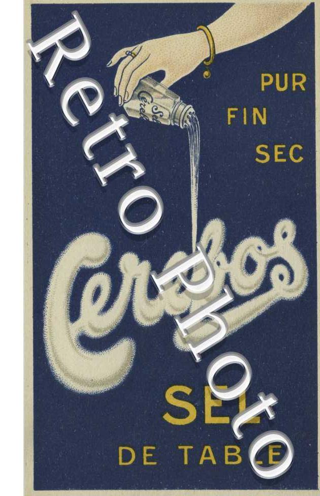 Cerebos Sel de table